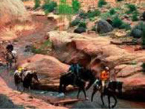 Escalante Canyons National Monument Horseback Riding