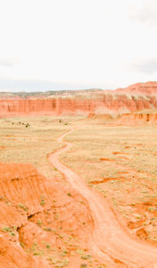 Utah Horseback Riding