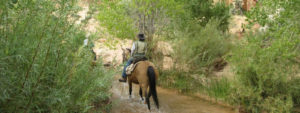 utah horseback riding