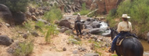 Capitol Reef National Park Horseback Riding