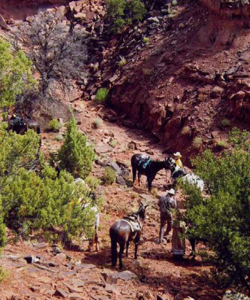 thumb-dates-and-rates-specialty-rides-utah-horseback-riding-vacations Utah Horseback Riding Vacations